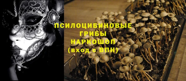 МДПВ Алзамай