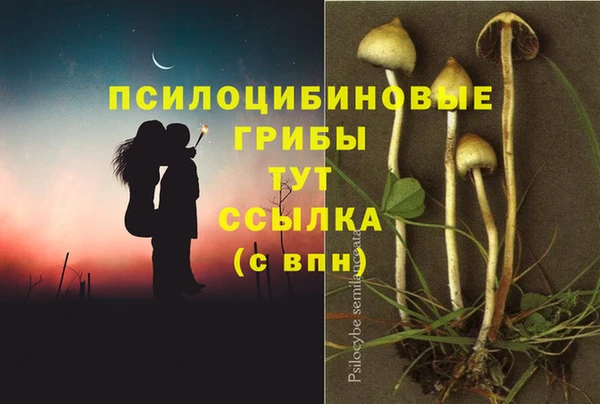 МДПВ Алзамай
