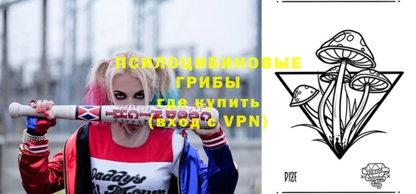 МДПВ Алзамай