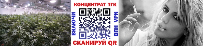 ТГК вейп  где купить   МЕГА как войти  Рошаль 